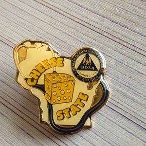 HOSA Wisconsin Cheese State Pin